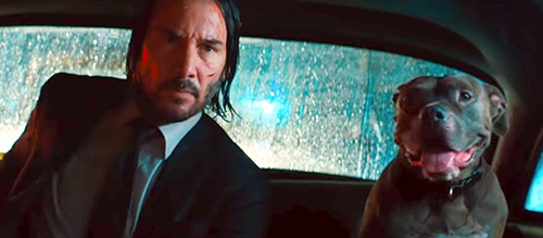 A Textual Analysis of 'John Wick Chapter 3 - Parabellum' | The Film ...