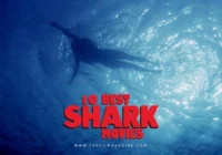 10 Best Shark Movies