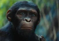 Kingdom of the Planet of the Apes (2024) Review